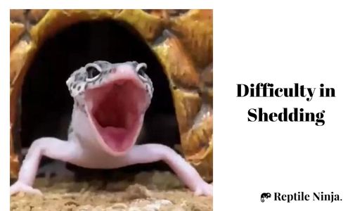 Difficulty in Shedding