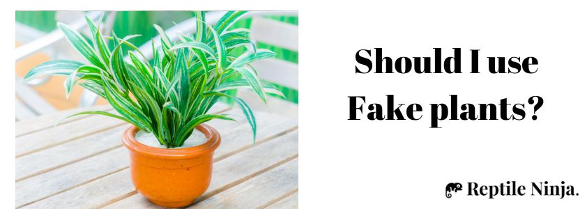 Should I use fake plants