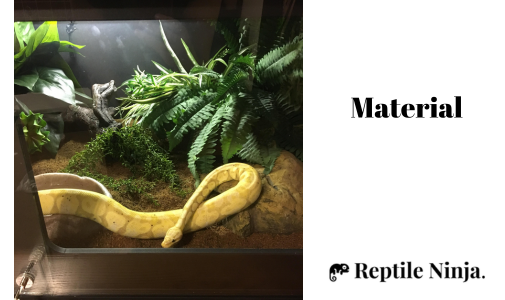 ball python in glass enclosure