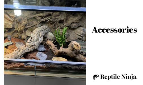 Red-eyed Crocodile Skink Enclosure Accessories