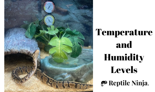 ball python enclosure with thermometer